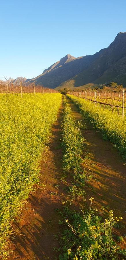Sonklip Hotel Stellenbosch Eksteriør billede