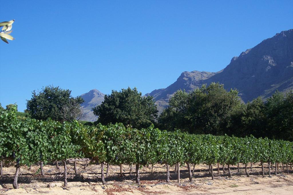 Sonklip Hotel Stellenbosch Eksteriør billede