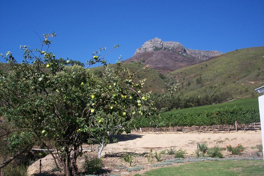 Sonklip Hotel Stellenbosch Eksteriør billede