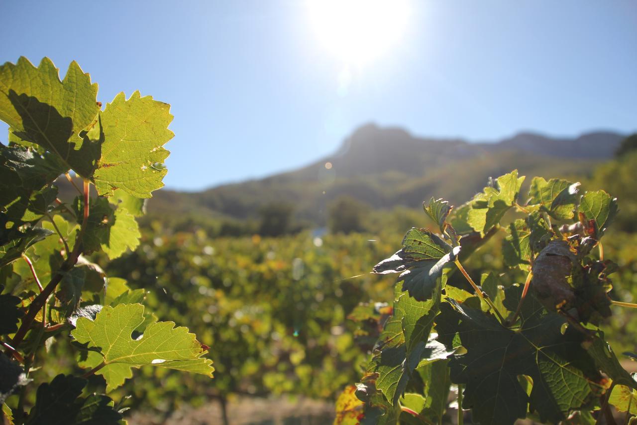 Sonklip Hotel Stellenbosch Eksteriør billede