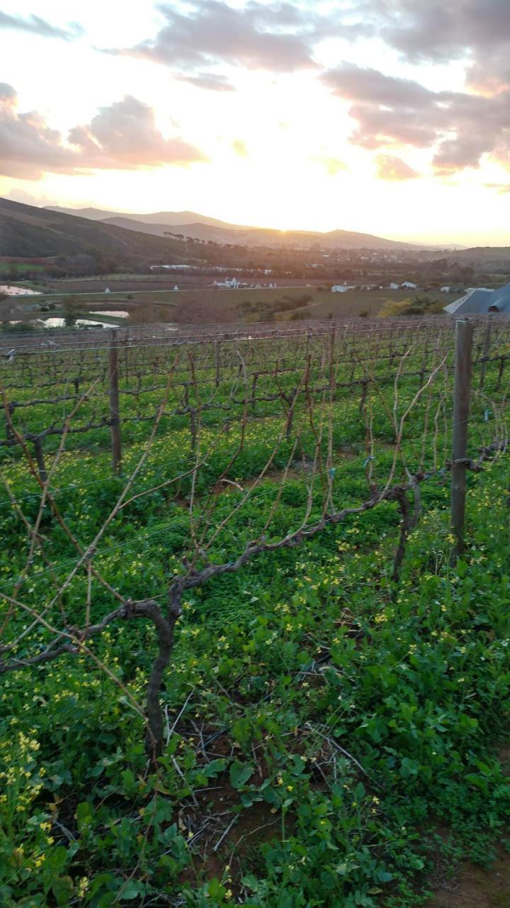 Sonklip Hotel Stellenbosch Eksteriør billede