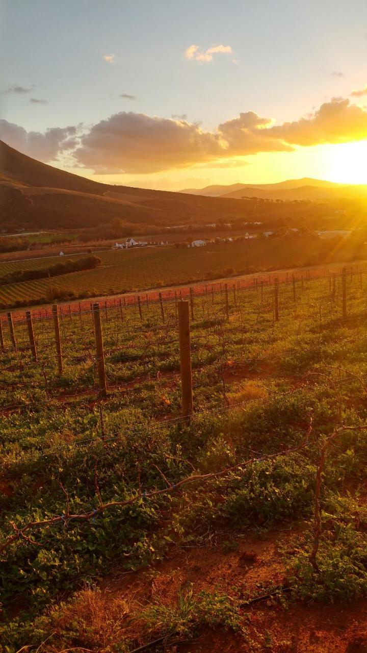 Sonklip Hotel Stellenbosch Eksteriør billede