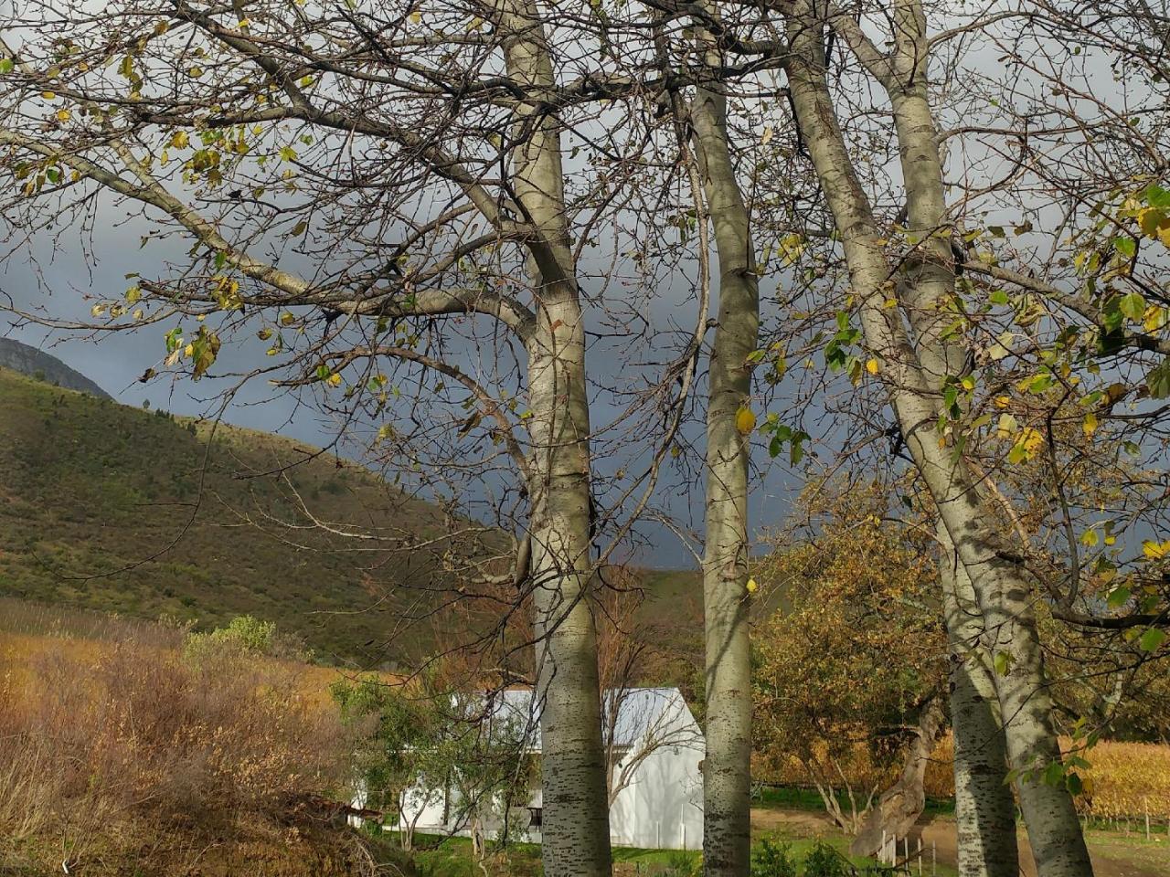 Sonklip Hotel Stellenbosch Eksteriør billede