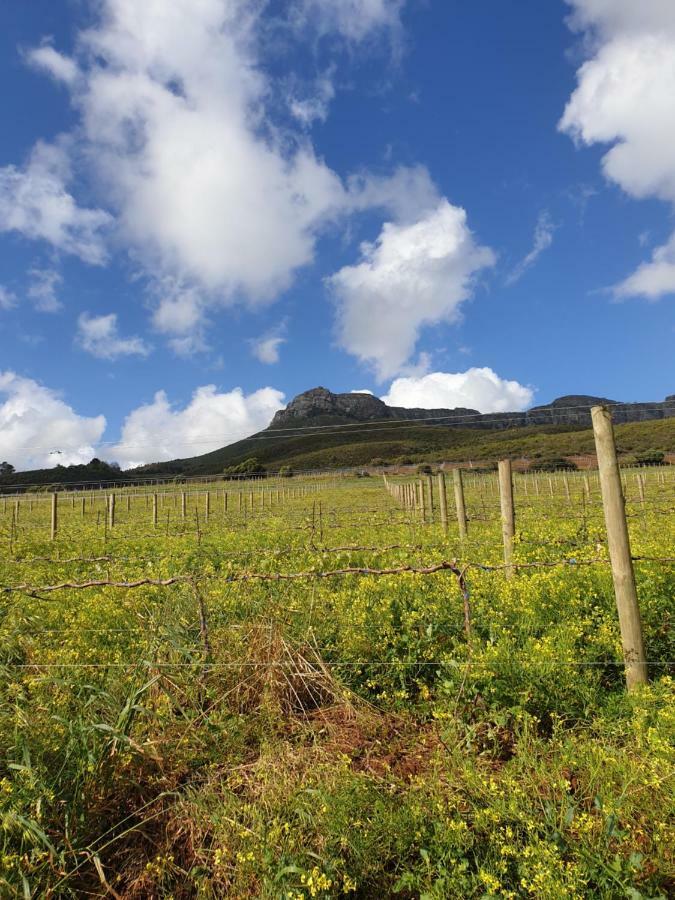 Sonklip Hotel Stellenbosch Værelse billede